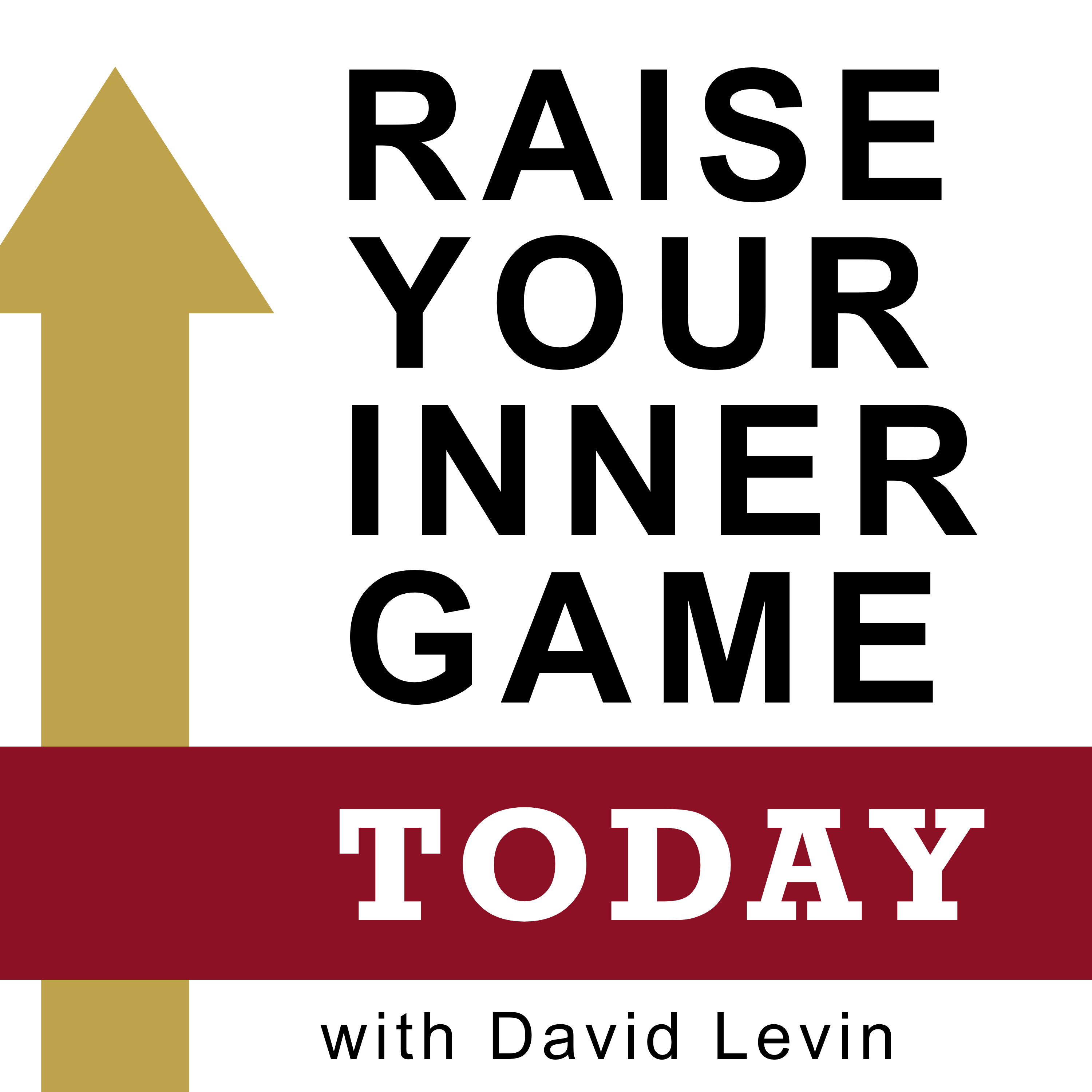 Raise Your Inner Game Today with David Levin